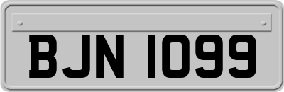BJN1099