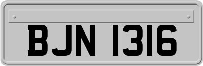 BJN1316