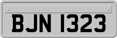 BJN1323