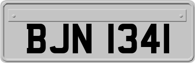 BJN1341