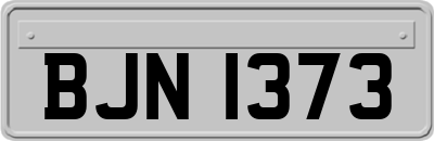 BJN1373