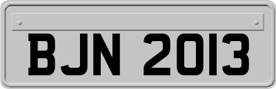 BJN2013