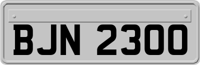 BJN2300