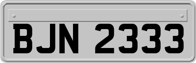BJN2333