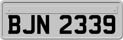 BJN2339