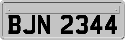 BJN2344