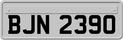 BJN2390