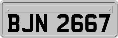 BJN2667