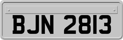 BJN2813