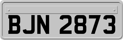 BJN2873