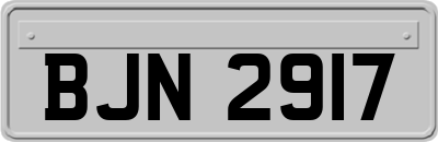 BJN2917