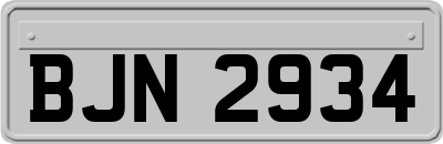 BJN2934