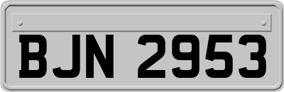 BJN2953