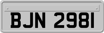 BJN2981