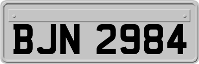 BJN2984