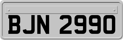 BJN2990