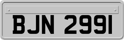BJN2991