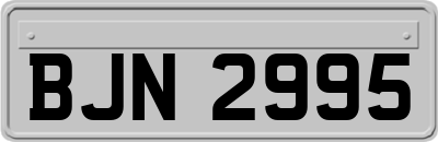 BJN2995