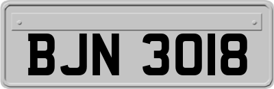 BJN3018