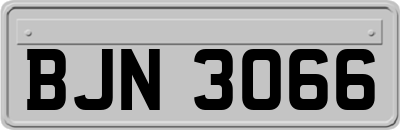 BJN3066