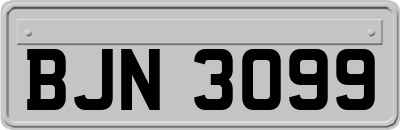 BJN3099