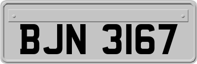 BJN3167