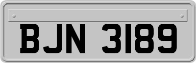 BJN3189