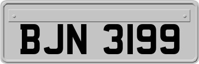 BJN3199