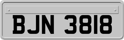 BJN3818