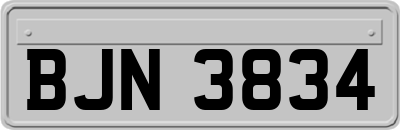 BJN3834