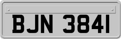 BJN3841