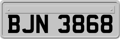 BJN3868