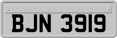 BJN3919