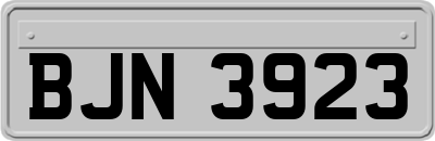 BJN3923