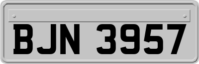 BJN3957