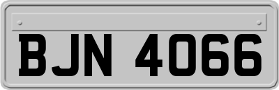 BJN4066