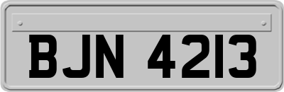 BJN4213