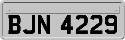 BJN4229