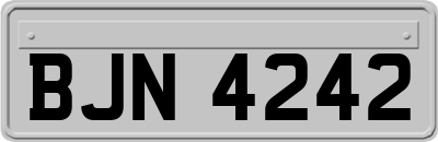 BJN4242