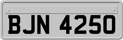 BJN4250