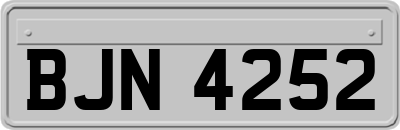 BJN4252