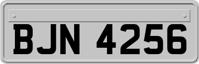 BJN4256