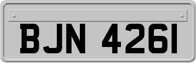 BJN4261