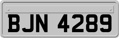 BJN4289