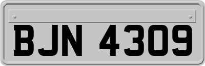 BJN4309