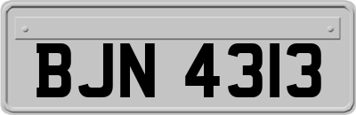 BJN4313