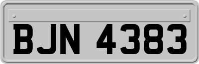 BJN4383