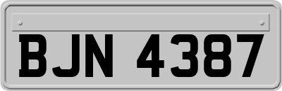 BJN4387