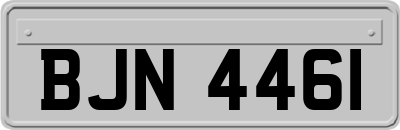BJN4461
