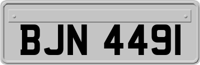BJN4491